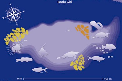 Bodu Giri (Gaafu Alifu / Dhaalu)